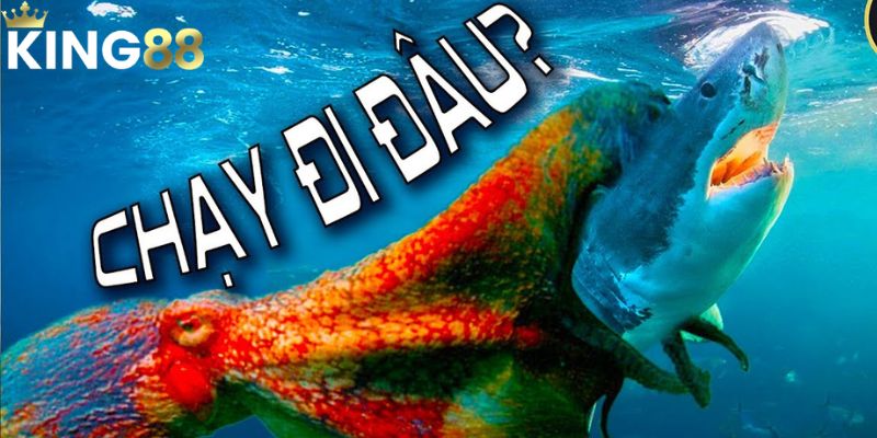 Bắn Cá Đổi Thưởng King88 - Cơ Hội Làm Giàu Có 1 Không 2 3 Bắn cá đổi thưởng phiên bản thủy quái đại chiến