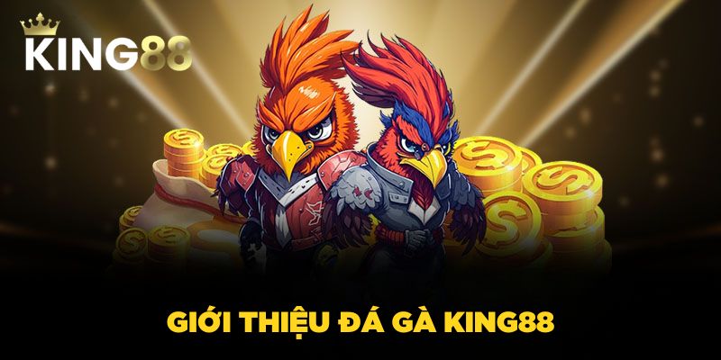 Giới thiệu đá gà King88